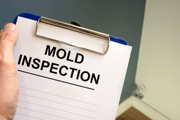 Best Residential Mold Inspection & Testing  in Scottsdale, AZ